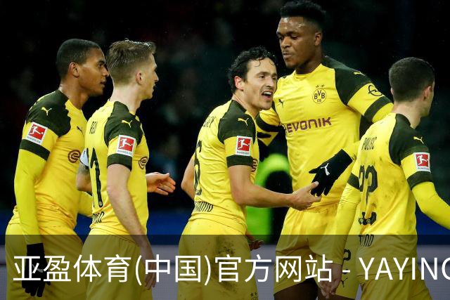 亚盈体育(中国)官方网站 - YAYING SPORTS